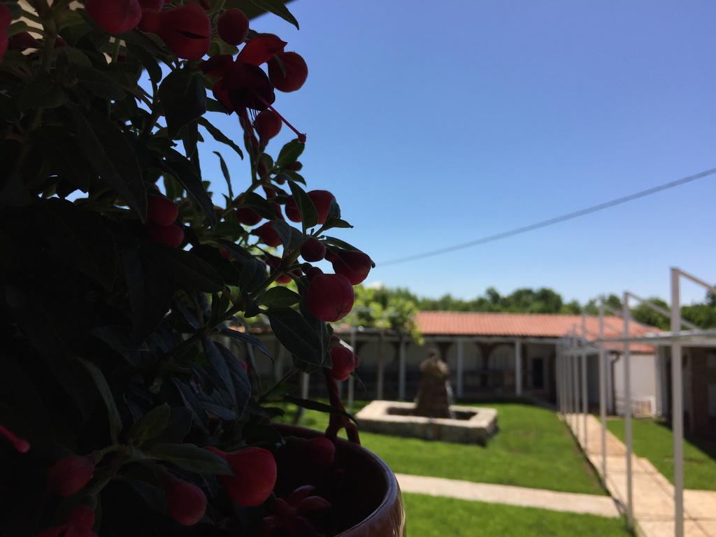 Motel Kiwi Grude Zewnętrze zdjęcie